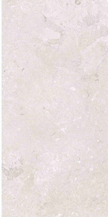 OL Port Land Stone Bianco Matte 12 x 24